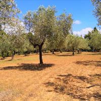 Земельный участок в Греции, Центральная Македония, Центр