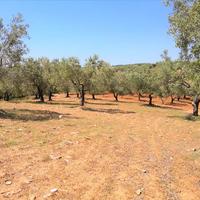 Земельный участок в Греции, Центральная Македония, Центр