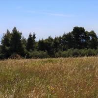 Land plot in Greece, Central Macedonia, Center
