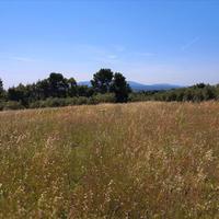 Land plot in Greece, Central Macedonia, Center