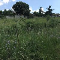 Land plot in Greece, Central Macedonia, Center