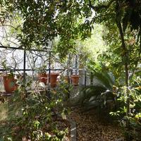 Other in Greece, Attica, Athens, 160 sq.m.