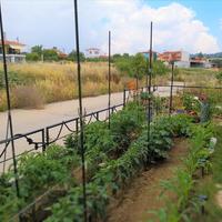 Townhouse in Greece, Central Macedonia, Center, 88 sq.m.