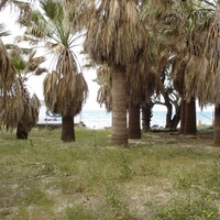 Land plot in Greece, Crete, Chania