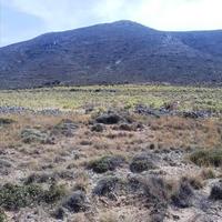 Land plot in Greece, Crete