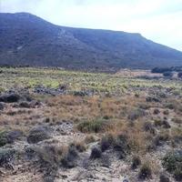 Земельный участок в Греции, Крит