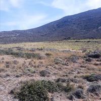 Земельный участок в Греции, Крит