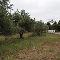 Land plot in Greece, Crete, Chania