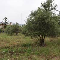 Land plot in Greece, Crete, Chania