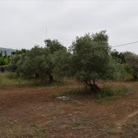 Land plot in Greece, Crete, Chania