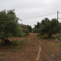 Land plot in Greece, Crete, Chania