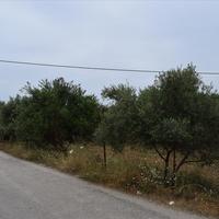Land plot in Greece, Crete, Chania