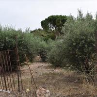 Land plot in Greece, Crete, Chania
