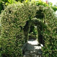 Other in Greece, Central Macedonia, Center, 347 sq.m.