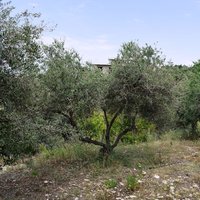 Land plot in Greece, Crete, Chania