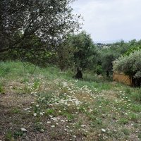 Land plot in Greece, Crete, Chania
