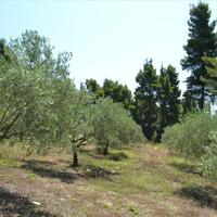 Другое в Греции, Центральная Македония, Центр, 80 кв.м.