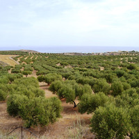 Land plot in Greece, Crete, Irakleion