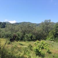 Land plot in Greece, Ionian Islands