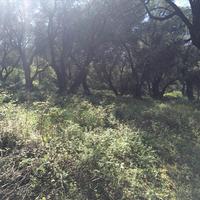 Land plot in Greece, Ionian Islands