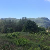 Land plot in Greece, Ionian Islands
