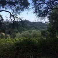 Land plot in Greece, Ionian Islands