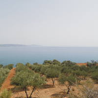 Land plot in Greece, Crete