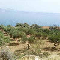 Land plot in Greece, Crete