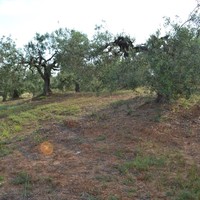 Land plot in Greece, Central Macedonia, Center