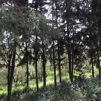 Бизнес-центр в Греции, Центральная Македония, Центр, 548 кв.м.