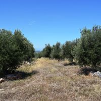 Земельный участок в Греции, Крит