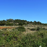 Земельный участок в Греции, Крит