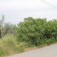 Земельный участок в Греции, Центральная Македония, Центр