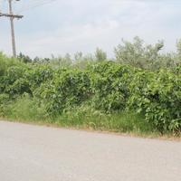 Земельный участок в Греции, Центральная Македония, Центр