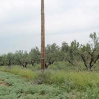 Земельный участок в Греции, Центральная Македония, Центр