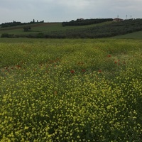Land plot in Greece, Central Macedonia, Center
