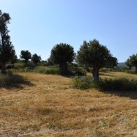 Земельный участок в Греции, Крит