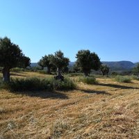 Земельный участок в Греции, Крит