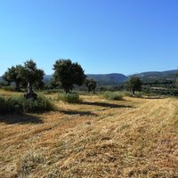 Земельный участок в Греции, Крит