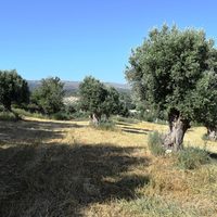 Земельный участок в Греции, Крит