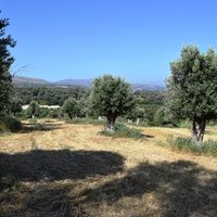 Земельный участок в Греции, Крит