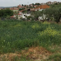 Земельный участок в Греции, Центральная Македония, Центр