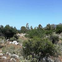 Land plot in Greece, Crete, Chania