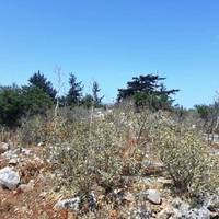 Land plot in Greece, Crete, Chania
