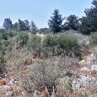 Land plot in Greece, Crete, Chania
