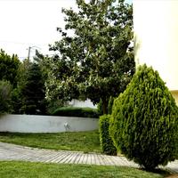 Business center in Greece, Attica, Athens, 650 sq.m.