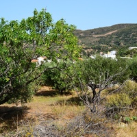 Land plot in Greece, Crete