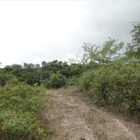 Land plot in Greece, Ionian Islands