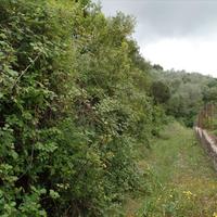 Land plot in Greece, Ionian Islands