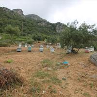 Земельный участок в Греции, Ионические острова